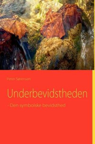 Cover of Underbevidstheden