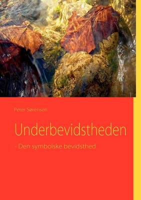 Book cover for Underbevidstheden