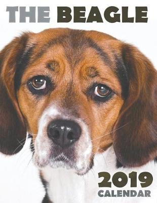 Book cover for The Beagle 2019 Calendar