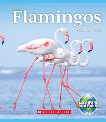 Book cover for Flamingos (Nature's Children)
