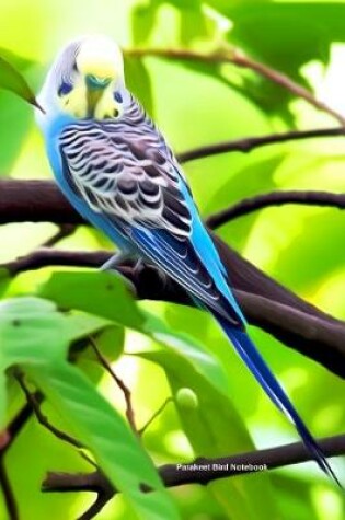 Cover of Parakeet Bird Notebook