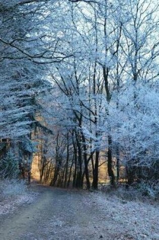 Cover of Forest Path and Winter Frost Journal