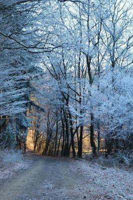 Book cover for Forest Path and Winter Frost Journal