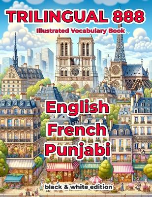 Book cover for Trilingual 888 English French Punjabi Illustrated Vocabulary Book