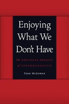 Book cover for Enjoying What We Don't Have