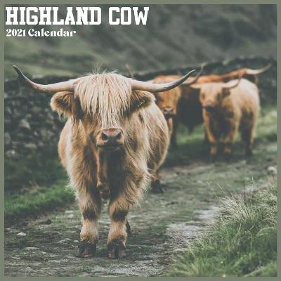 Book cover for Highland Cow 2021 Calendar