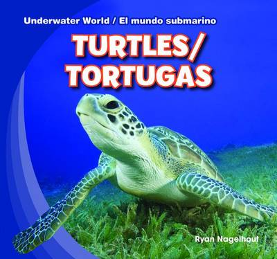 Book cover for Turtles / Tortugas