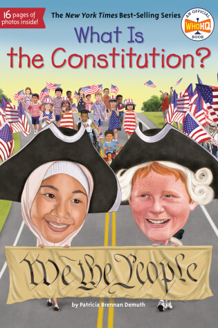 Cover of What Is the Constitution?