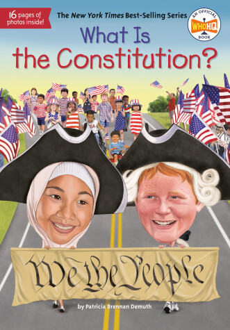 Book cover for What Is the Constitution?