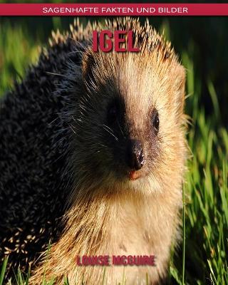 Book cover for Igel