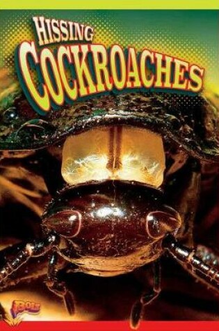 Cover of Hissing Cockroaches