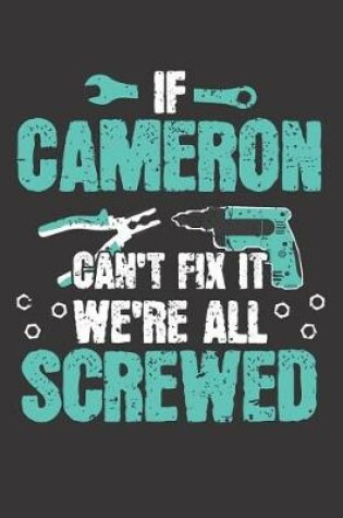 Cover of If CAMERON Can't Fix It