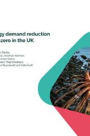 Cover of The role of energy demand reduction to achieve net-zero in the UK
