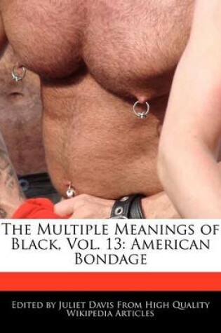 Cover of The Multiple Meanings of Black, Vol. 13