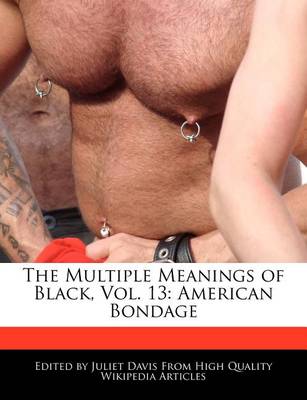 Book cover for The Multiple Meanings of Black, Vol. 13