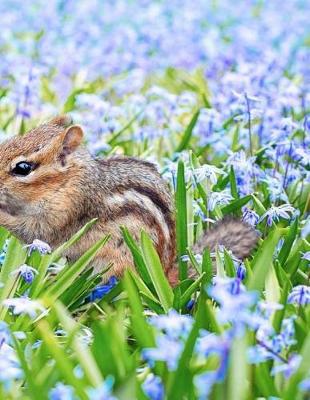 Book cover for Chipmunk