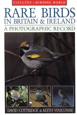 Book cover for Rare Birds in Britain and Ireland