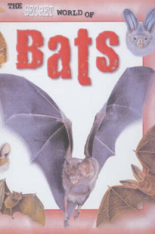 Cover of Bats