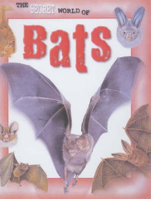 Cover of Bats