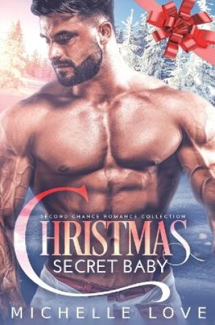 Cover of Christmas Secret Baby