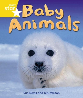 Cover of Rigby Star Guided Quest Year 1 Yellow Level: Baby Animals Reader Single
