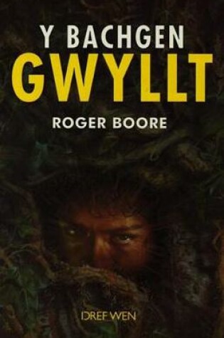 Cover of Bachgen Gwyllt, Y