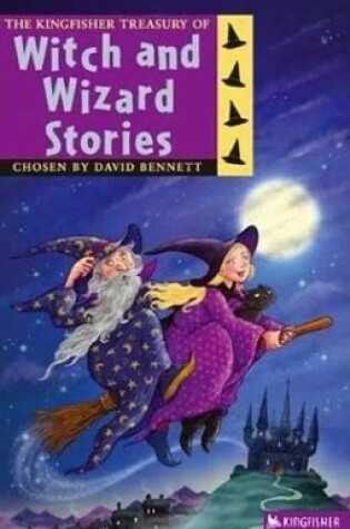 Cover of Witch and Wizard Stories