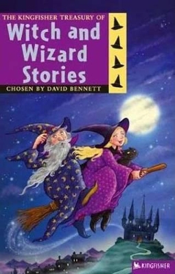 Book cover for Witch and Wizard Stories