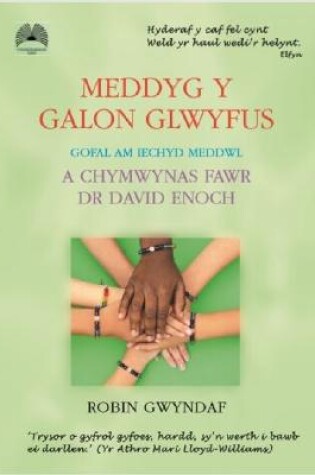 Cover of Meddyg y Galon Glwyfus - Gofal am Iechyd Meddwl a Chymwynas Fawr Dr David Enoch