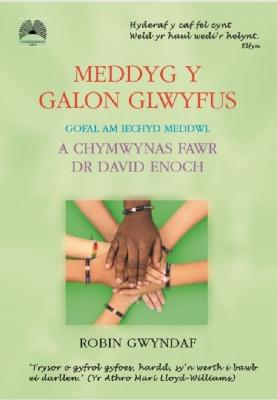 Book cover for Meddyg y Galon Glwyfus - Gofal am Iechyd Meddwl a Chymwynas Fawr Dr David Enoch