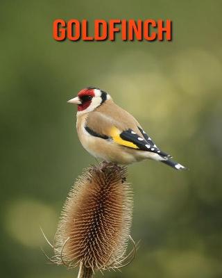 Book cover for Goldfinch