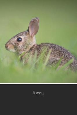 Book cover for Bunny