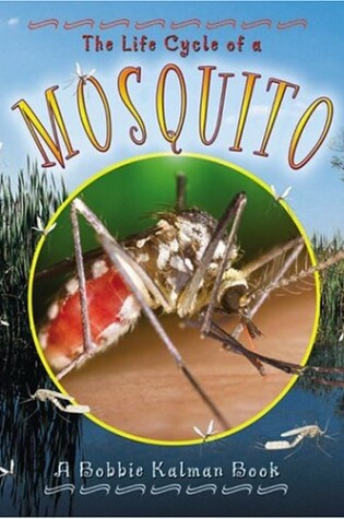 Cover of The Life Cycle of a Mosquito
