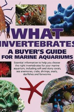 Cover of What Invertebrates?