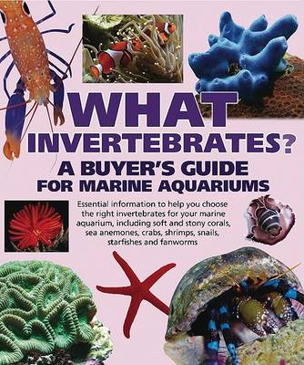 Cover of What Invertebrates?