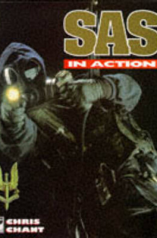 Cover of SAS in Action