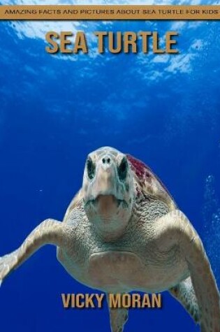 Cover of Sea Turtle