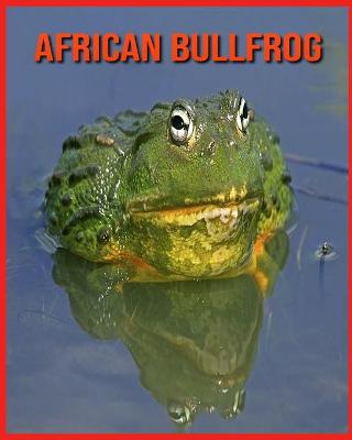 Book cover for African Bullfrog