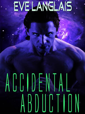 Book cover for Accidental Abduction