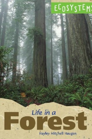 Cover of Life in a Forest