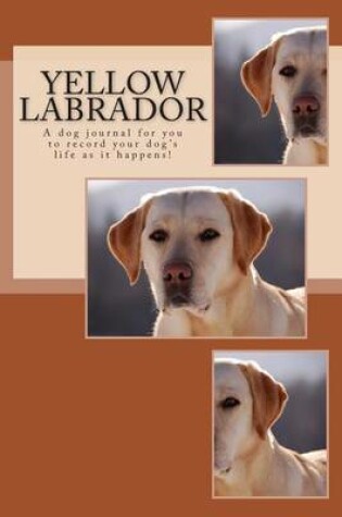 Cover of Yellow Labrador