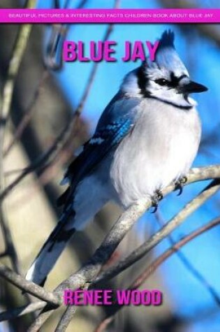 Cover of Blue Jay