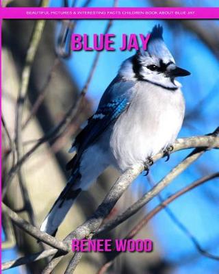 Book cover for Blue Jay