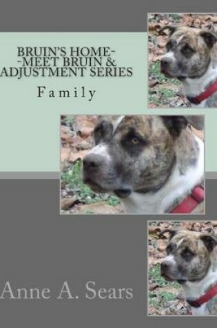 Cover of Bruin's Home--Meet Bruin and Adjustment Series