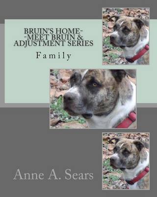 Book cover for Bruin's Home--Meet Bruin and Adjustment Series