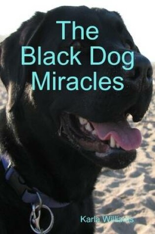 Cover of The Black Dog Miracles