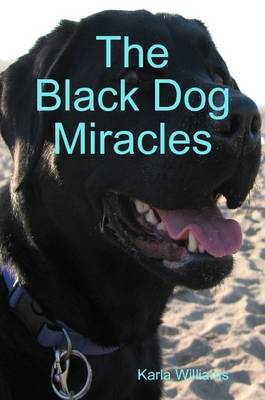 Book cover for The Black Dog Miracles