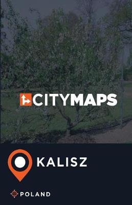 Book cover for City Maps Kalisz Poland