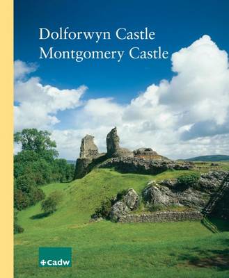 Book cover for Dolforwyn Castle, Montgomery Castle