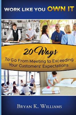 Book cover for WORK LIKE YOU OWN IT! 20 Ways to Go From Meeting to Exceeding Your Customers' Expectations